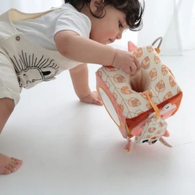 CUBO DE ACTIVIDADES BEBE TELA ZORRO Y BUHO DOLCE