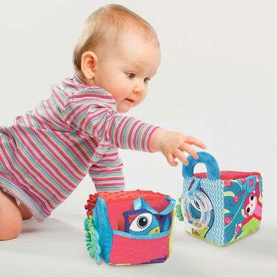 CUBO SENSORIAL CON SONAJERO