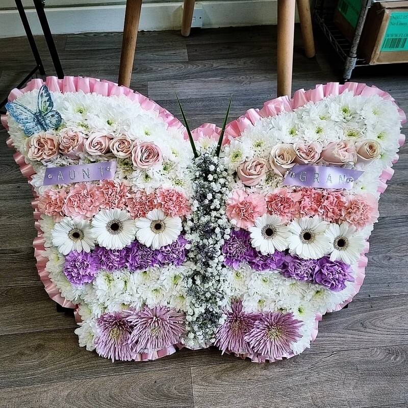 Butterfly Pastel
