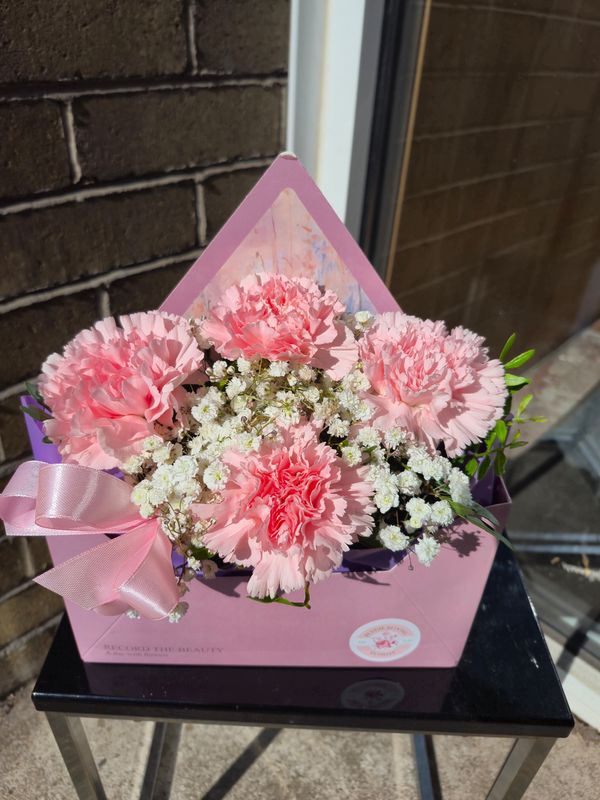 Carnation burst