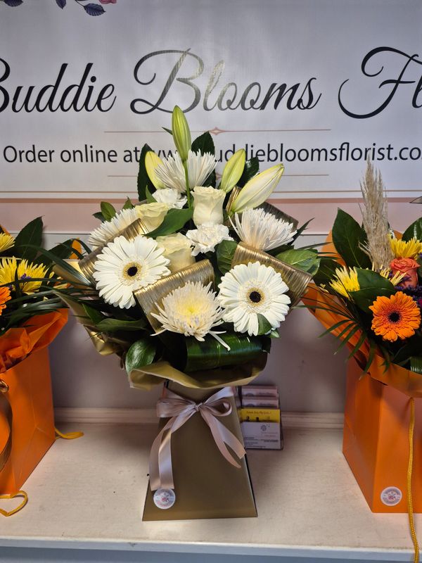 𝒂𝒍𝒍 𝒘𝒉𝒊𝒕𝒆 