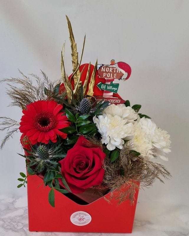 𝑳𝒆𝒕𝒕𝒆𝒓 𝒕𝒐 𝑺𝒂𝒏𝒕𝒂