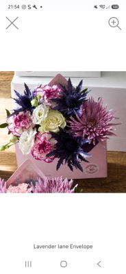 Envelope Arrangements