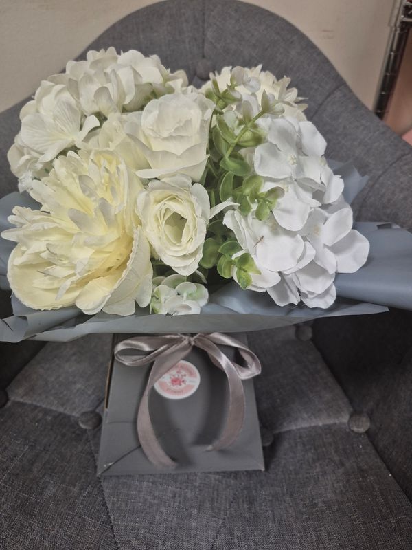 𝑫𝒐𝒗𝒆 𝒈𝒓𝒆𝒚