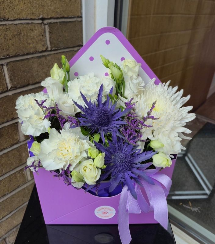 Envelope Arrangements 