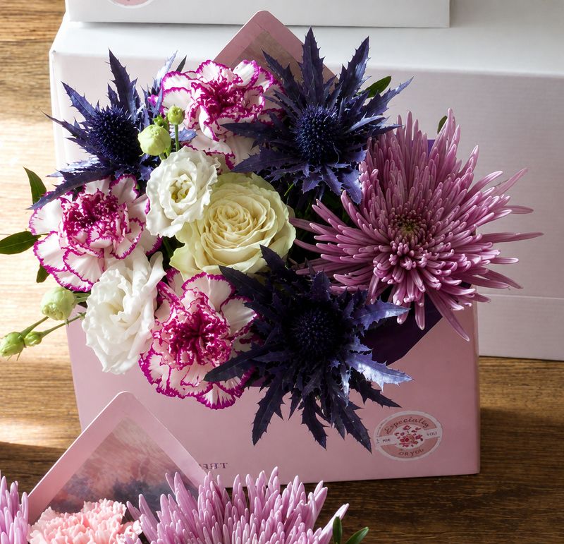 Any occasion Lavender lane Envelope 
