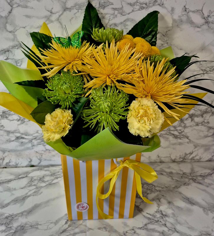 Lemon &amp; Lime 🍋🍋🍋