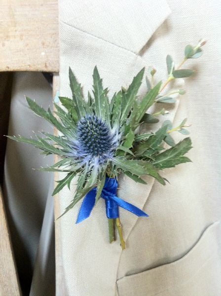 Thistle buttonhole Fresh