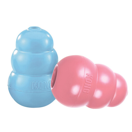 Kong Puppy