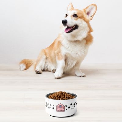 Pet bowl