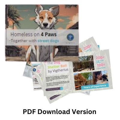 Heimatlos auf 4 Pfoten PDF Version