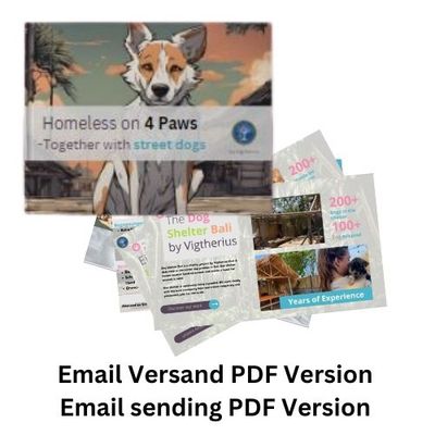 Heimatlos auf 4 Pfoten Email Versand Version