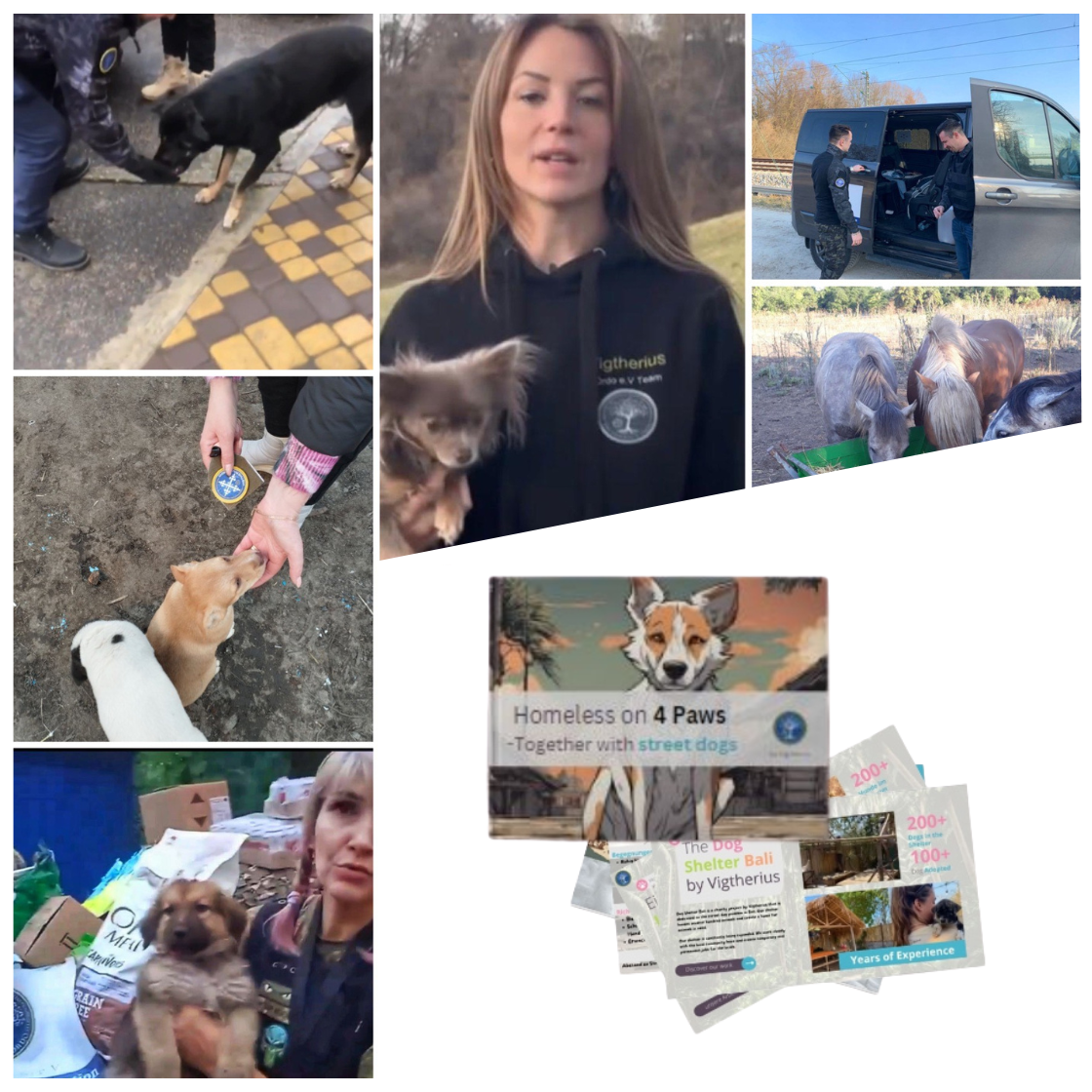 Tiere in Not - Patenschafts Abo