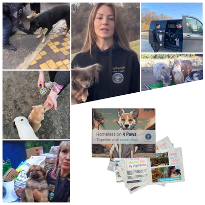 Tiere in Not - Patenschafts Abo