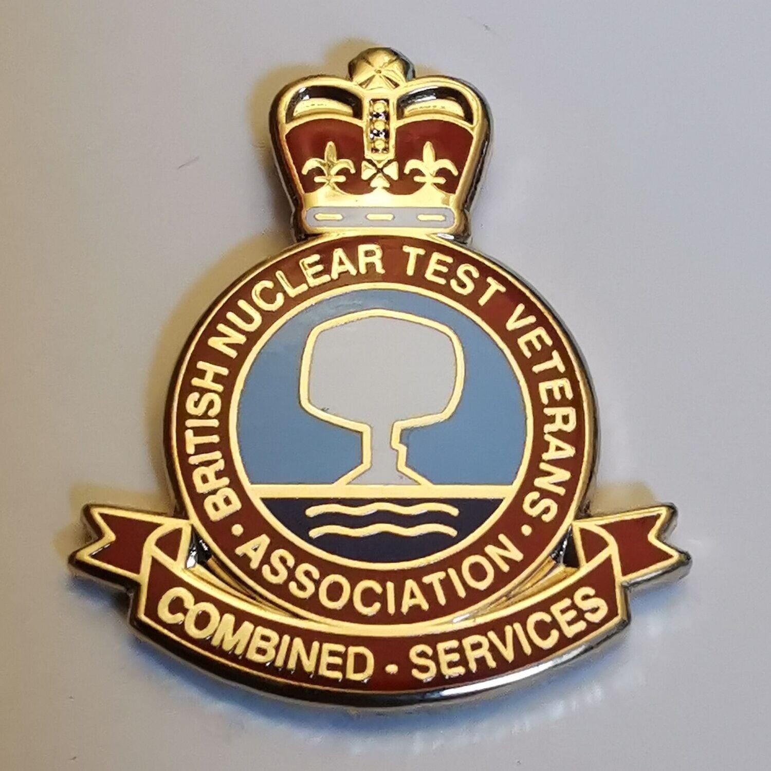BNTVA Lapel Pin