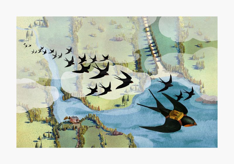 Fågelperspektiv / Birds eye view