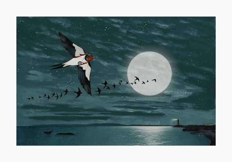 Nattflyg / Night flight