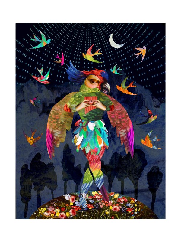 Magic Flute