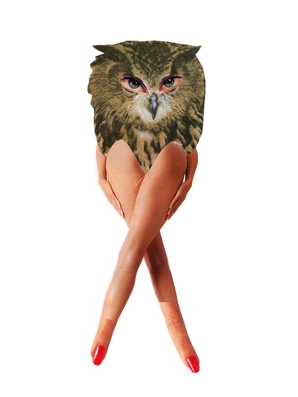 Owlady