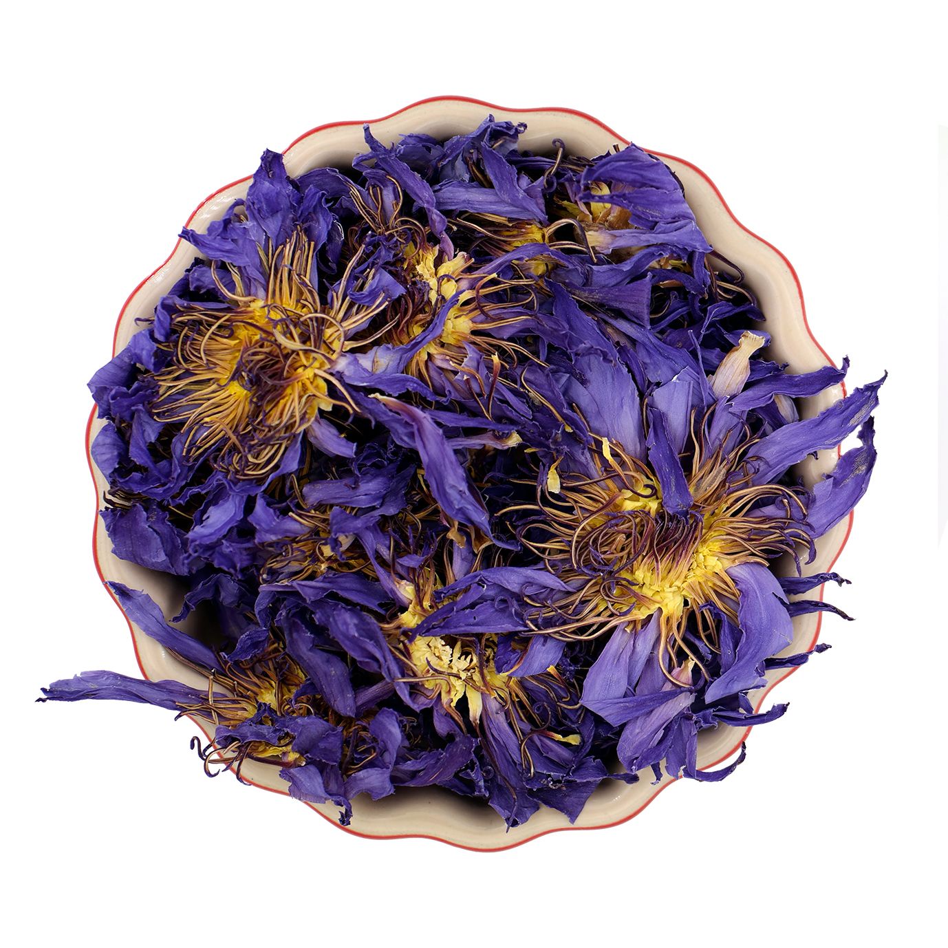 Blauer Lotus (Blüten), ganz