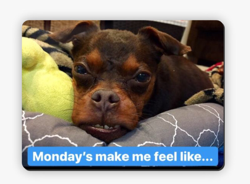Monday&#39;s make me feel like magnet