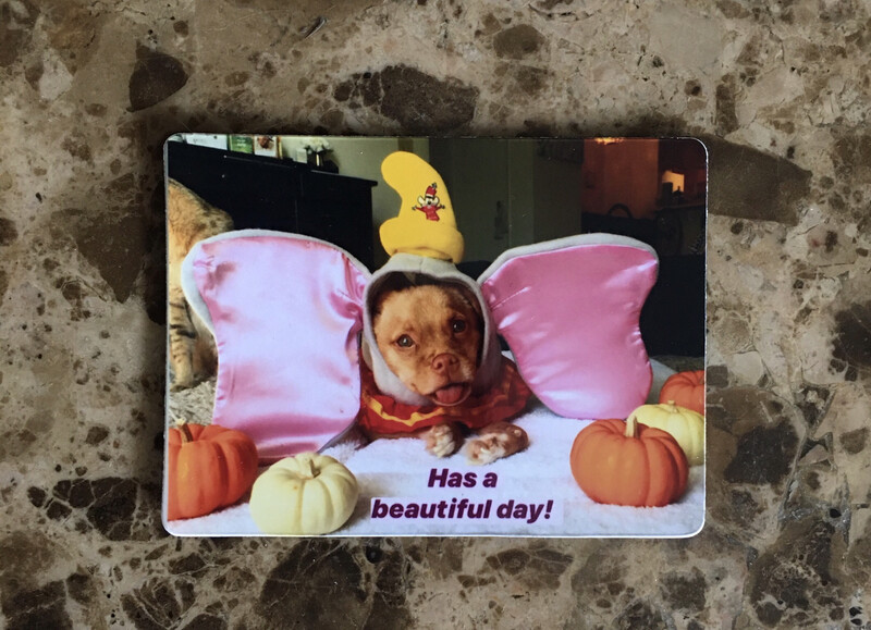 It’s A Beautiful Day Benjamin Buttons