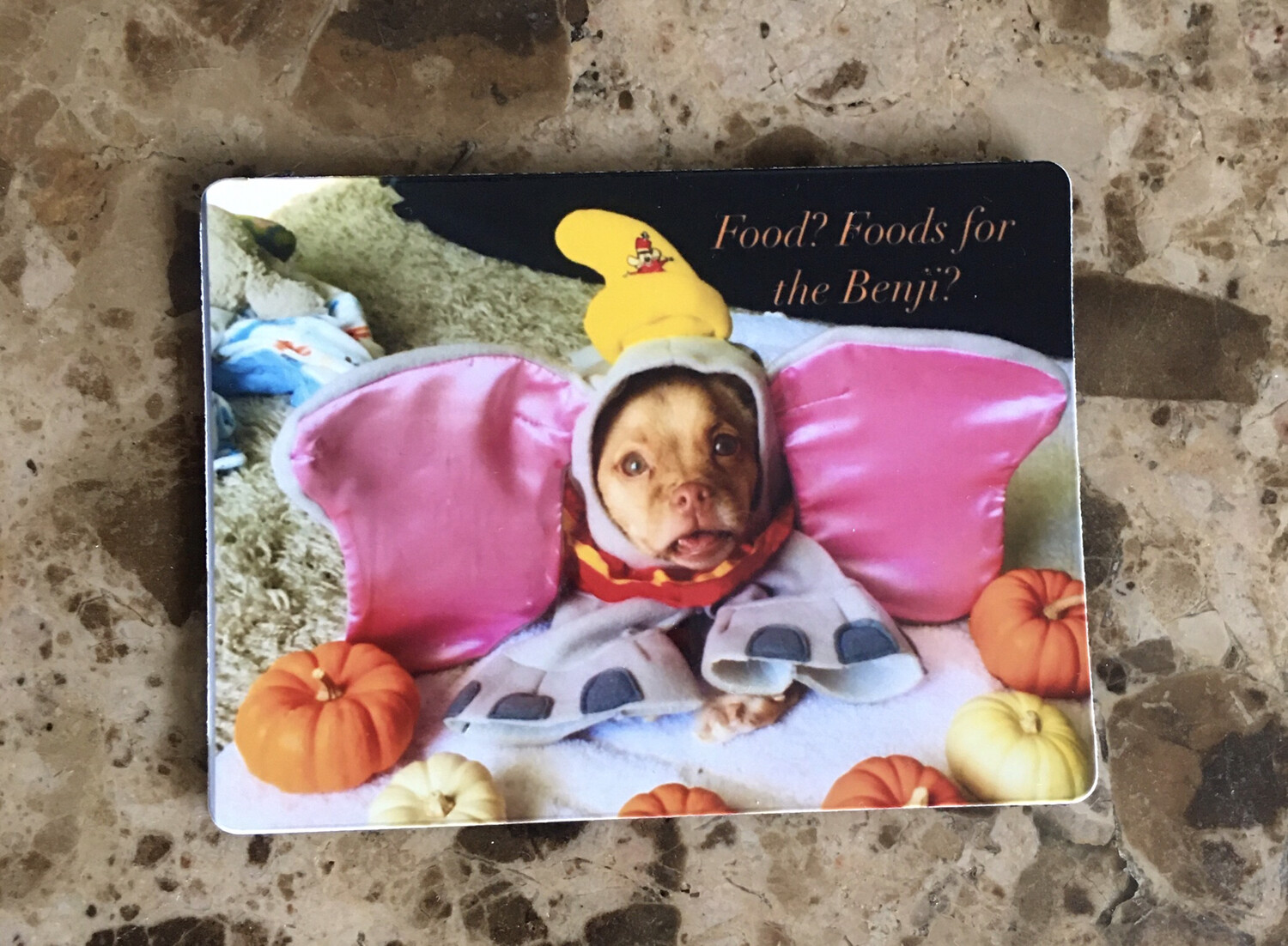 Foods For The Benji Magnet