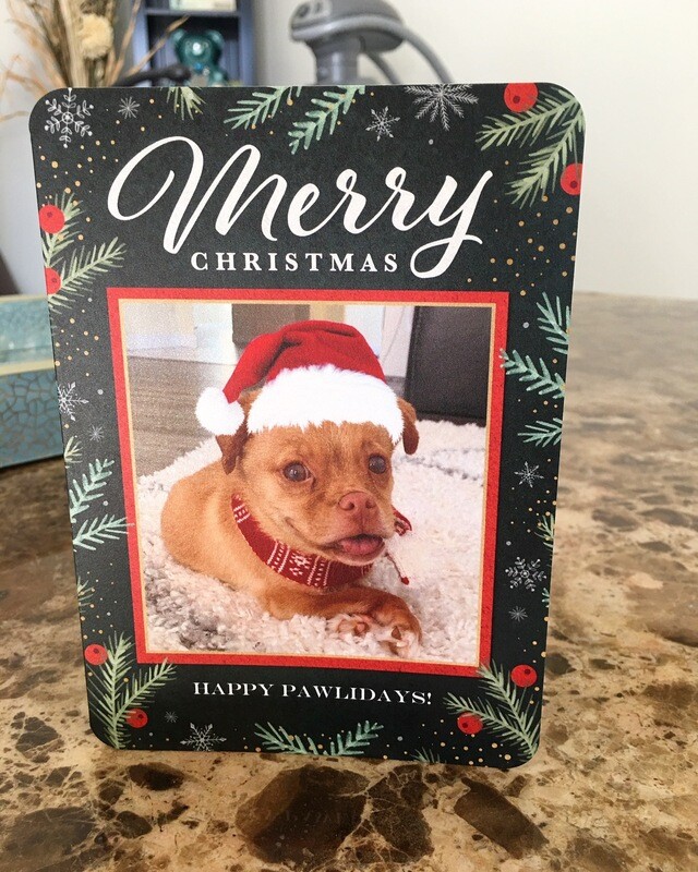 A Very Benjamin Buttons Christmas