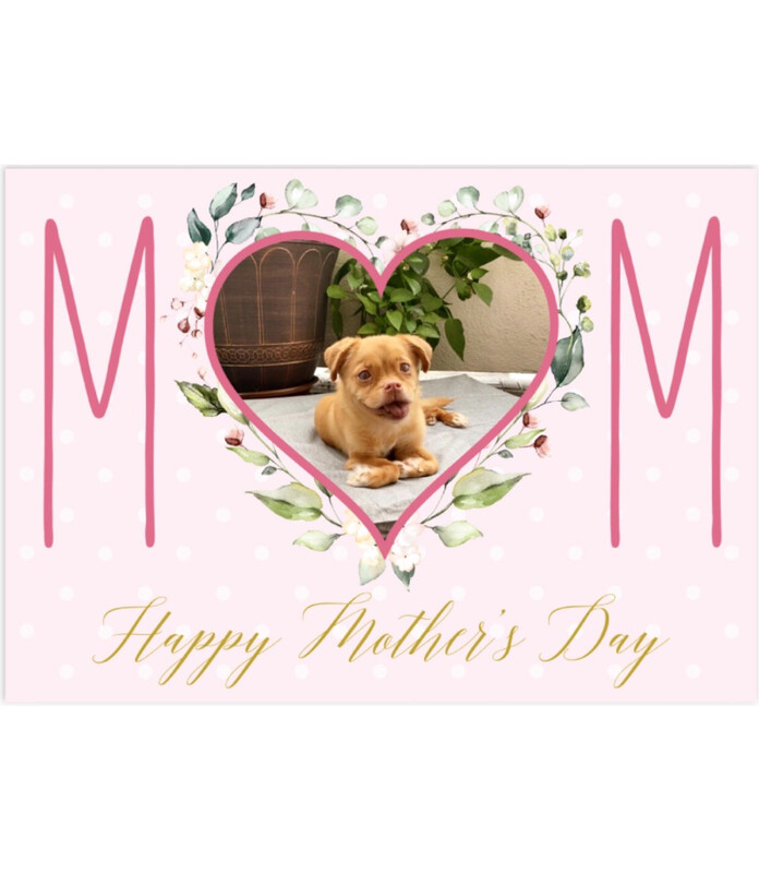 Floral Benjamin Buttons Mother’s Day Card