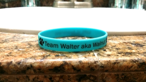 Team Walter Blue Bracelet