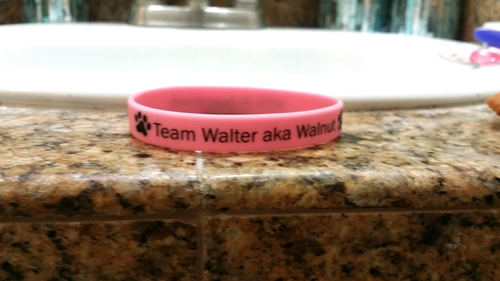 Team Walter Pink Bracelet