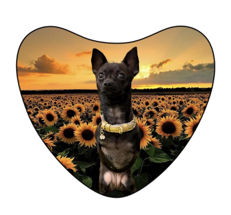 Crystal Heart  Roo Magnet