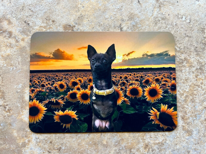 Non-Crystal Roo Friendship Magnet