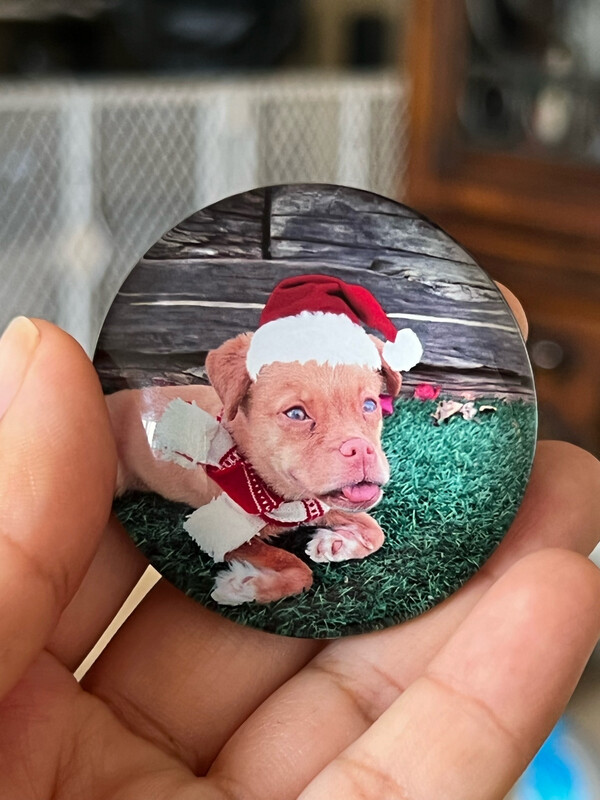 Crystal Circle Christmas Time With Benjamin Magnet