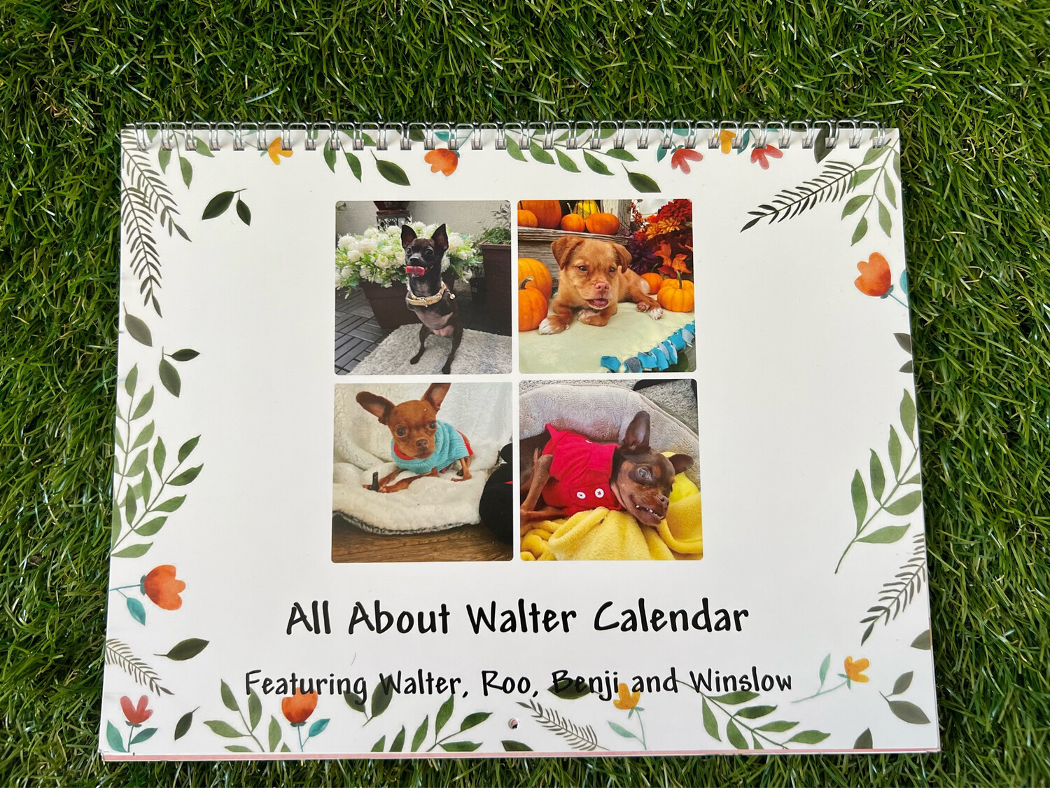 2023 Calendar Featuring Benji, Walter, Winslow And Roo