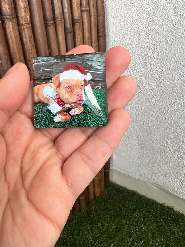 Crystal Square Christmas Time With Benjamin Magnet