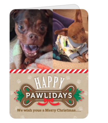 Walter and Winslow Christmas Card