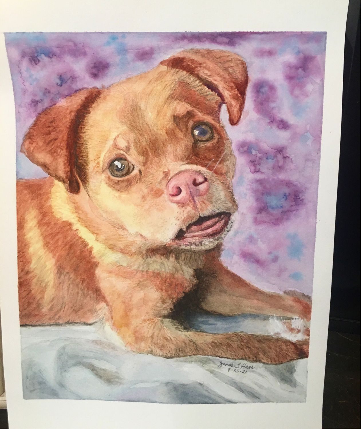 Custom Watercolor Portrait Fundraiser For Chance To Help With His Emergency Surgery Bills