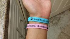 Team Walter Bracelets