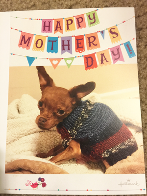 Winslow Mother's Day Greeting Card