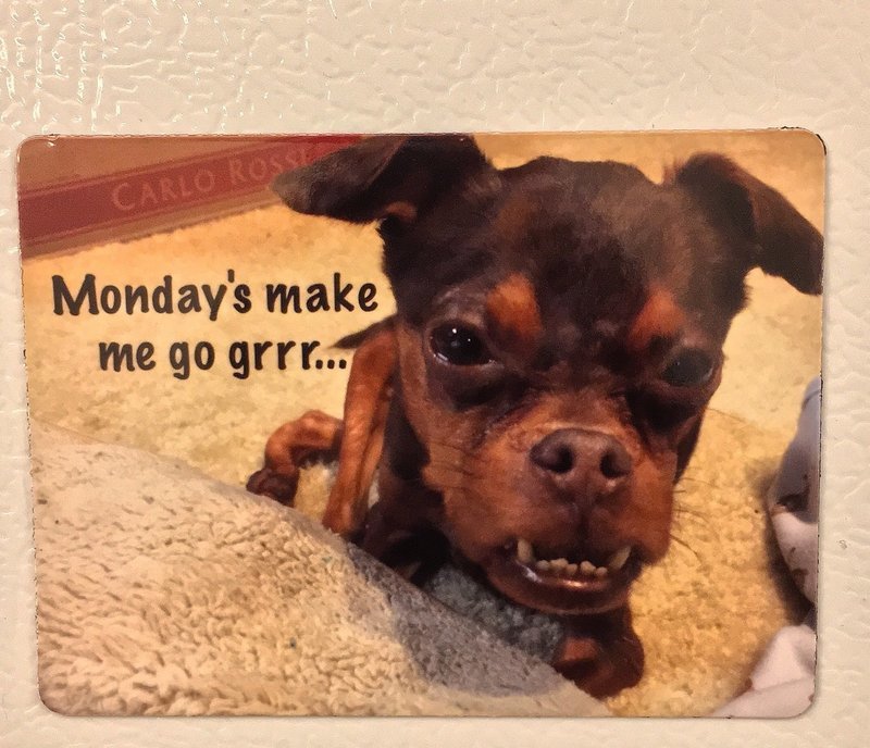 Monday&#39;s with Walnut Magnet