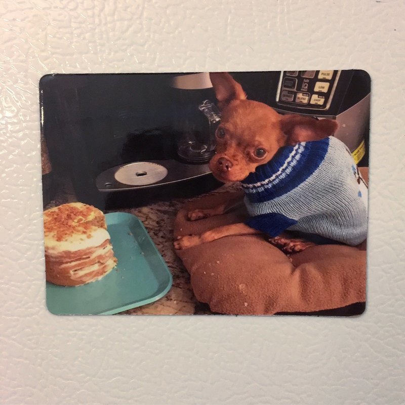 My little pup-cakes Magnet