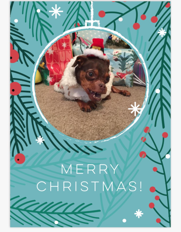 Holly jolly Walnut Christmas Card