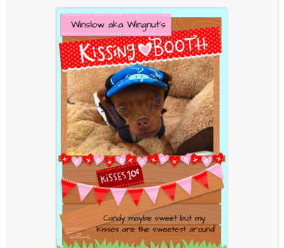 Winslow aka Wingnut Valentines Day Greeting Card
