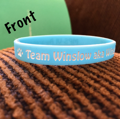 Team Winslow aka Wingnut bracelet *BLUE*