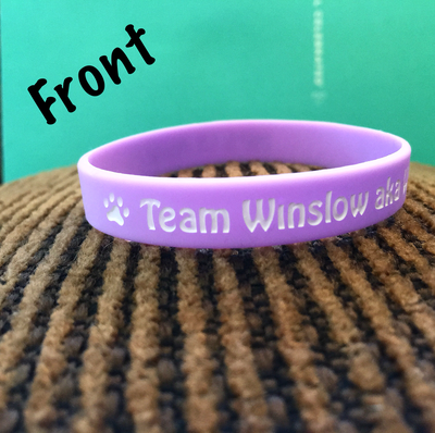Team Winslow aka Wingnut bracelet *Purple*