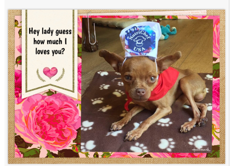 Winslow Love You More Than Cakes Mother’s Day Card