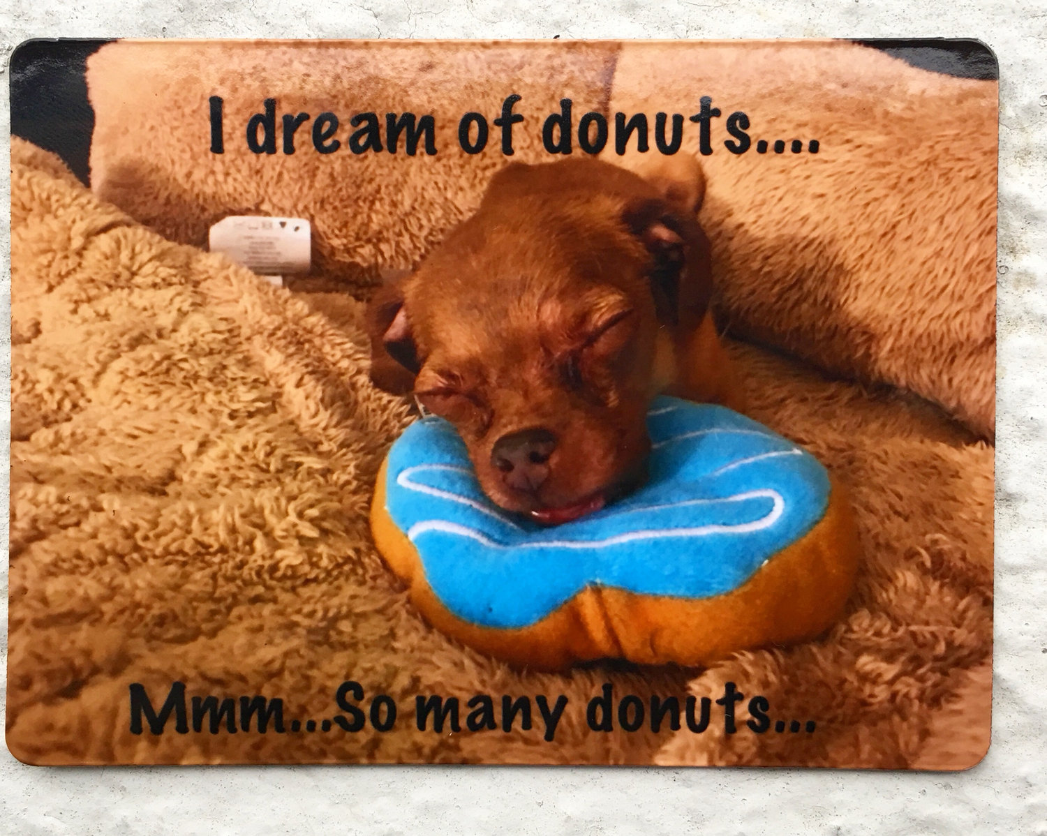 I dream of donuts