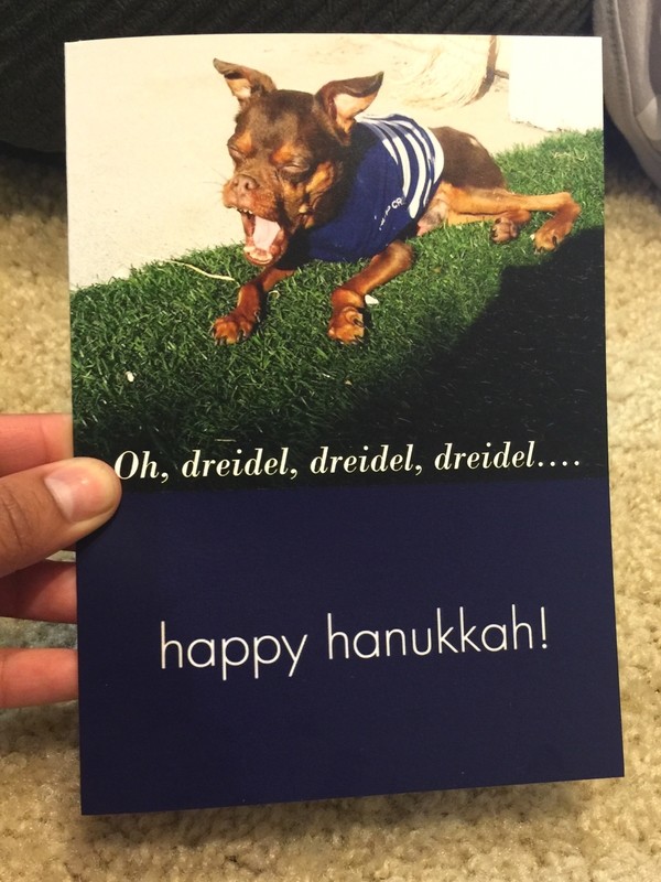 Walter aka Walnut Hanukkah Card