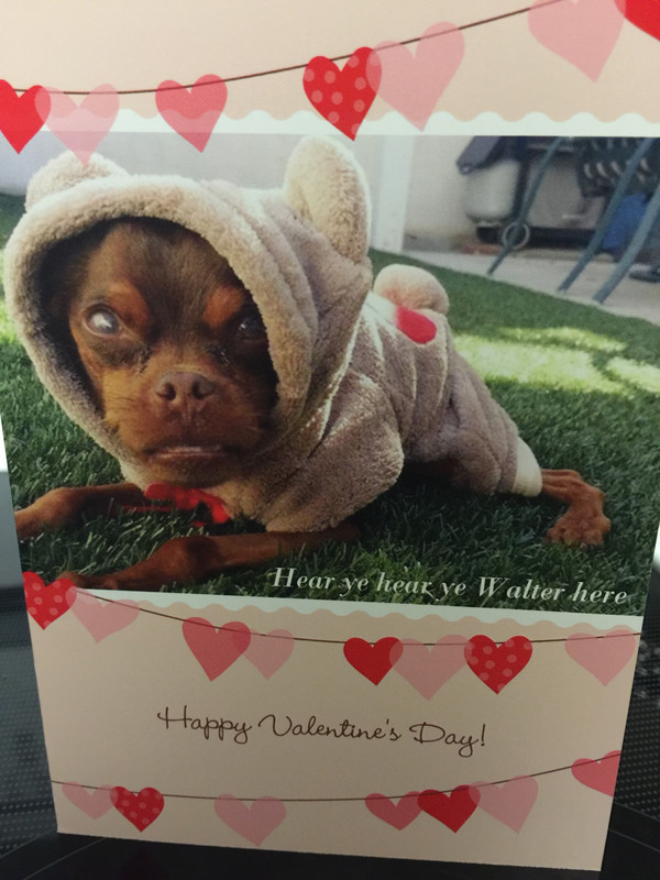 Walter aka Walnut Valentines Day cards